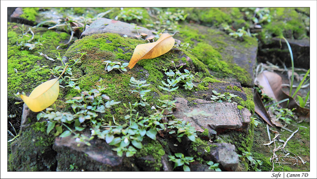 2012 - 07 - Manille - 45